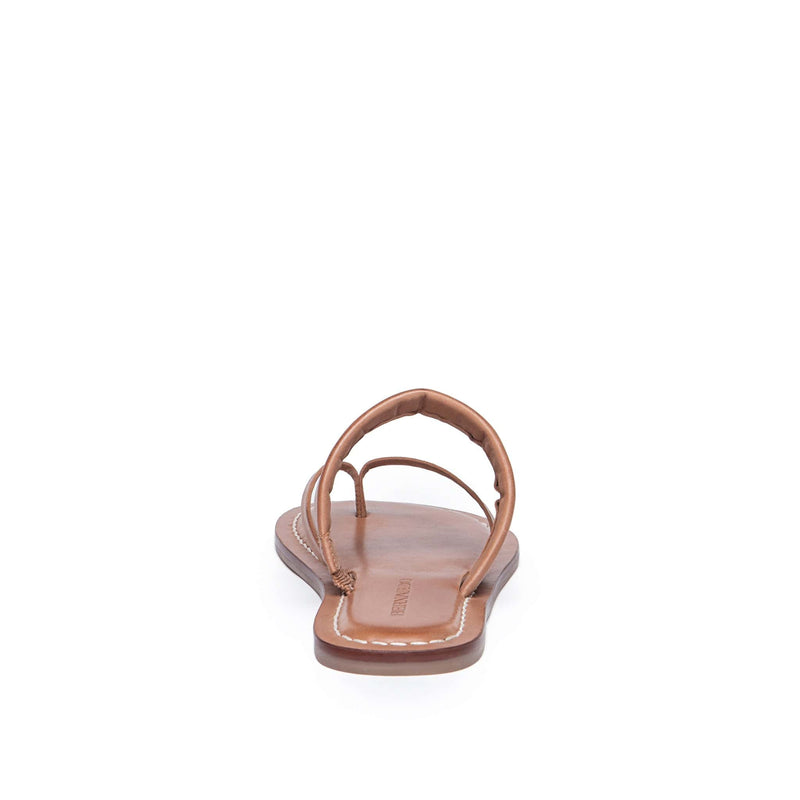 Sandálias Planas Bernardo Leia Thong Feminino Marrom | FLI5992VK